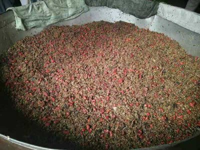 固源春养生酒制作过程