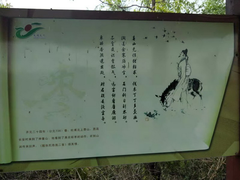宁阳县“大枣之乡”(图1)