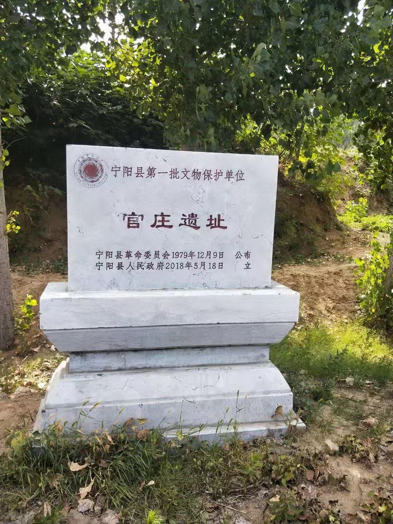 宁阳县“大枣之乡”(图3)