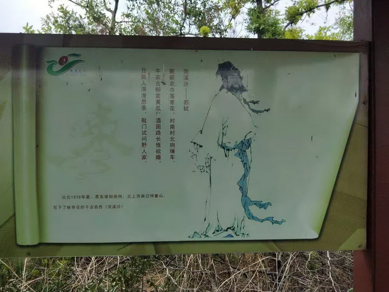 宁阳县“大枣之乡”(图2)