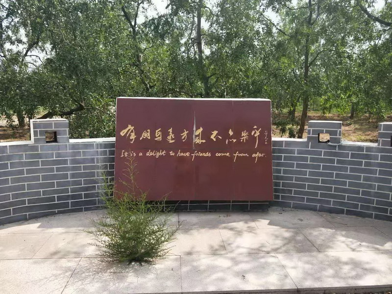 宁阳县“大枣之乡”(图4)