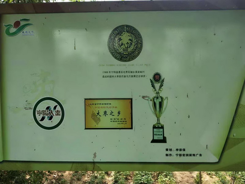 宁阳县“大枣之乡”(图6)